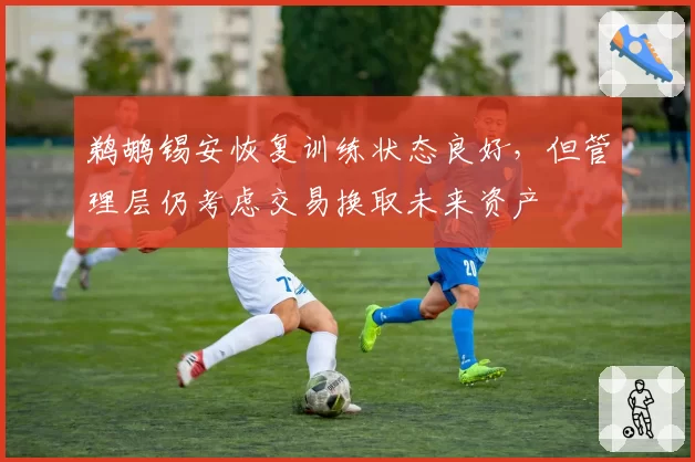 鹈鹕锡安恢复训练状态良好，但管理层仍考虑交易换取未来资产