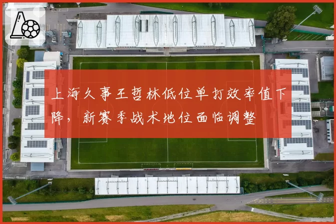 上海久事王哲林低位单打效率值下降，新赛季战术地位面临调整