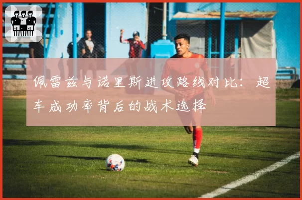 佩雷兹与诺里斯进攻路线对比：超车成功率背后的战术选择