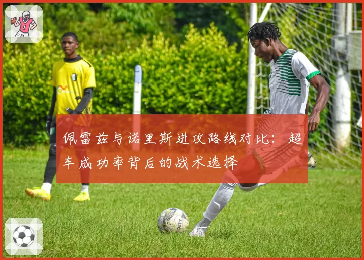 佩雷兹与诺里斯进攻路线对比：超车成功率背后的战术选择